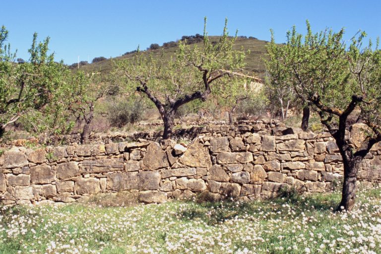 El Matxorral vista desde el sendero