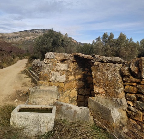 WhatsApp Image 2026-03-08 at 16.04.49(1)