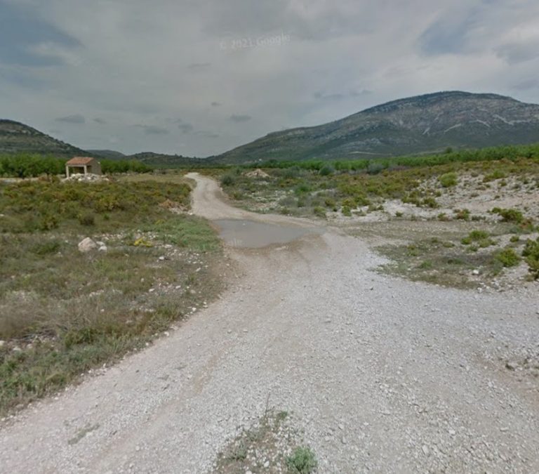 WhatsApp Image 2026-03-08 at 16.30.38(1)